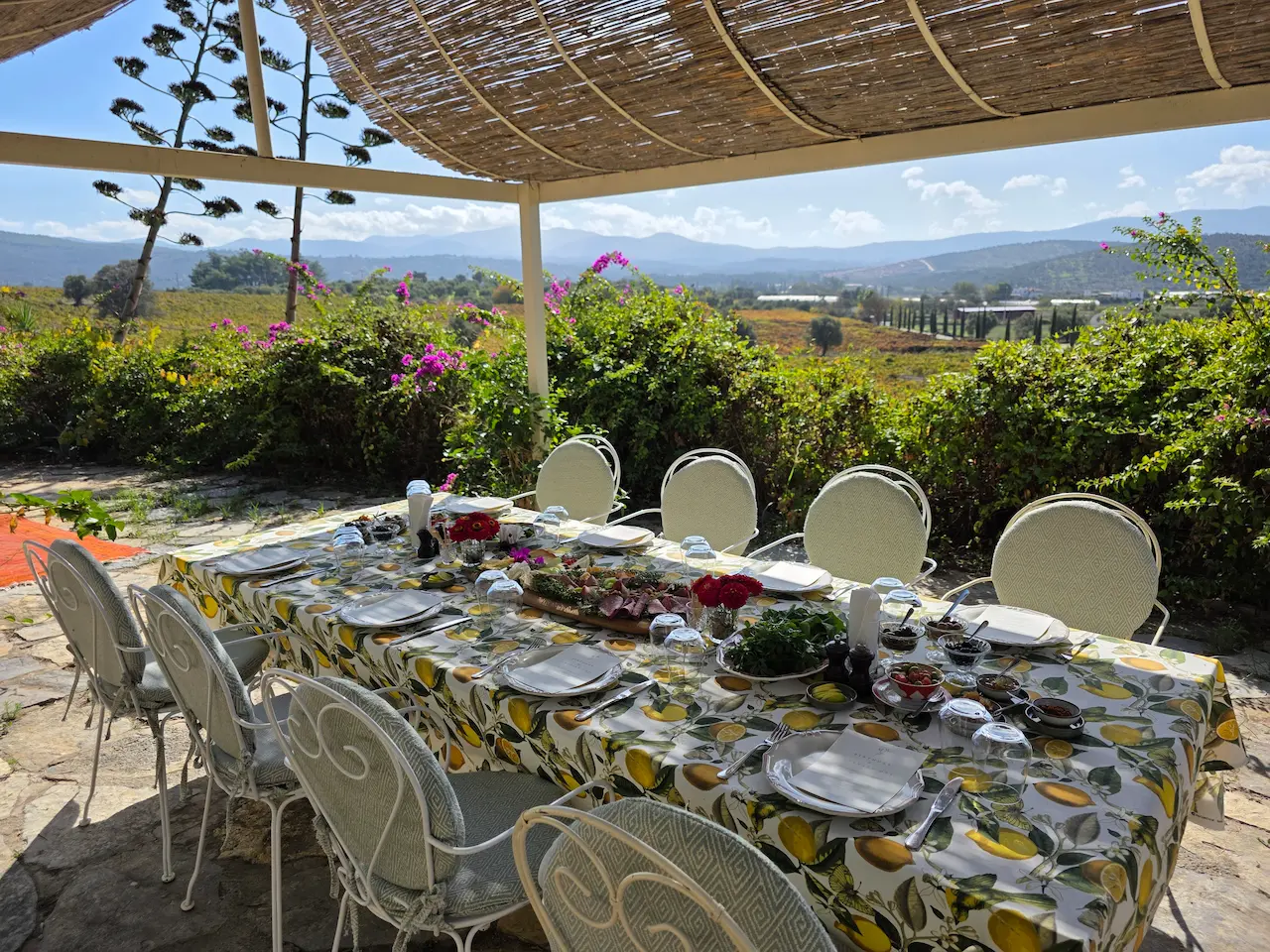 Private & Group Experiences