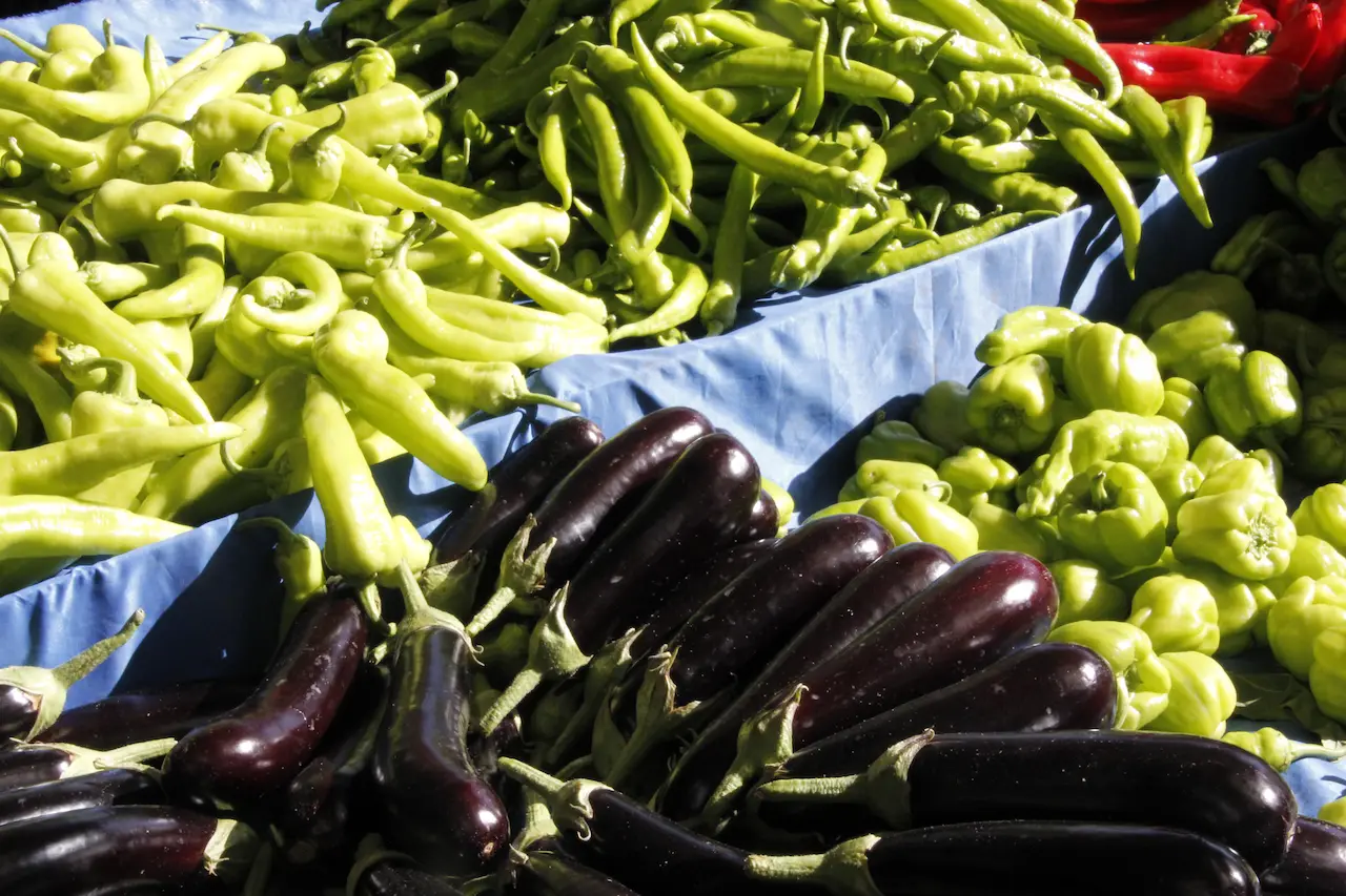Milas Market Cooking Class