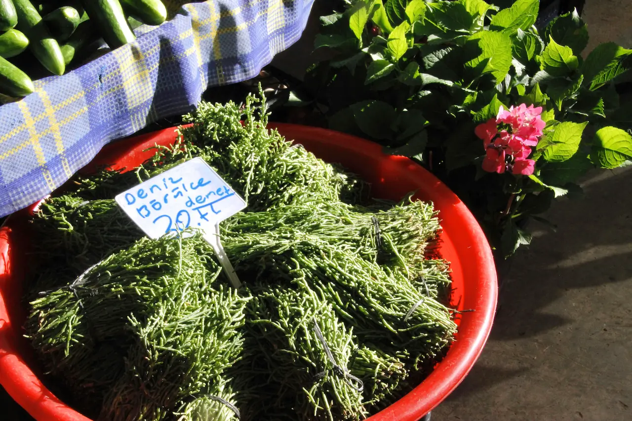 Milas Market Cooking Class