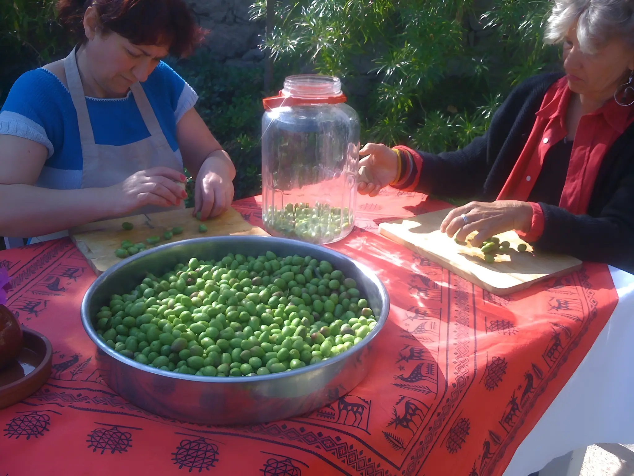 Seven Days Olive Harvesting