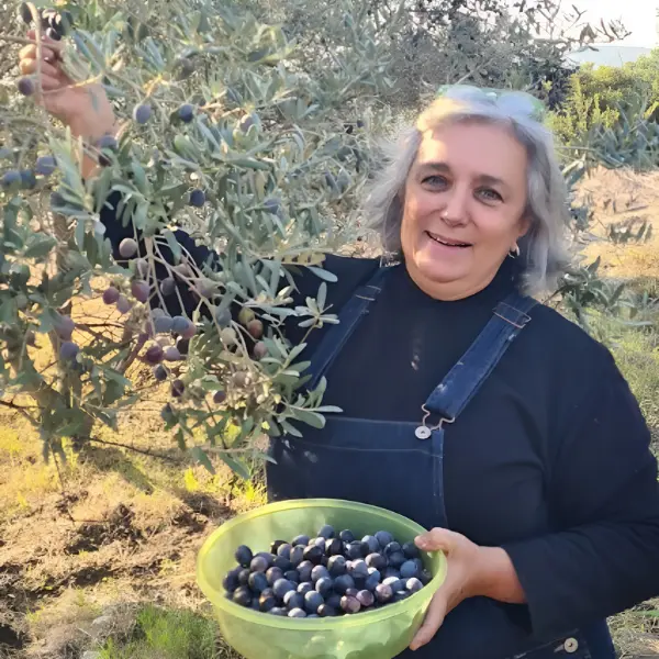 Seven Days Olive Harvesting