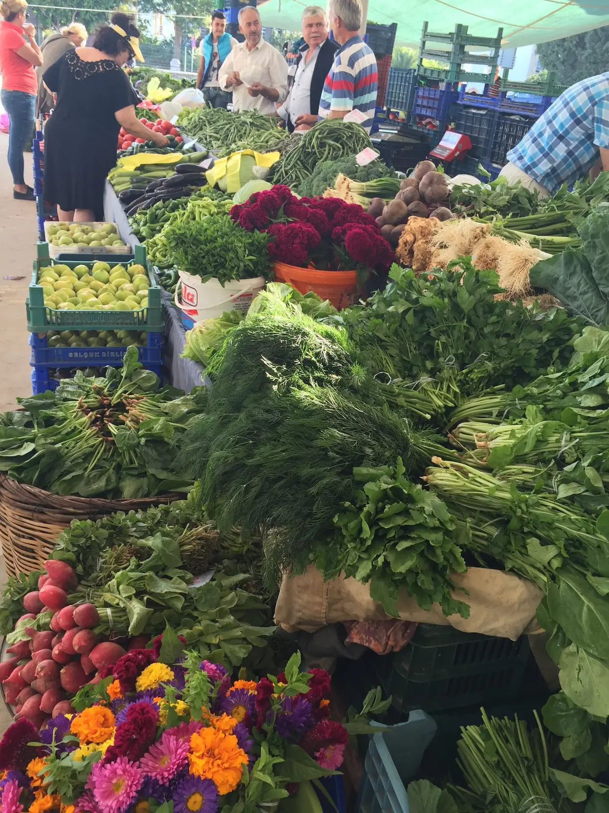 Vegetarian Cooking Class