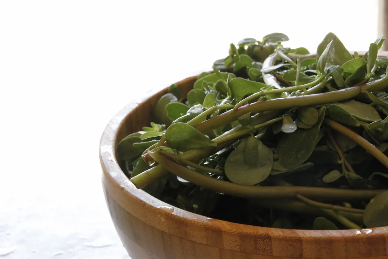 Vegetarian Cooking Class