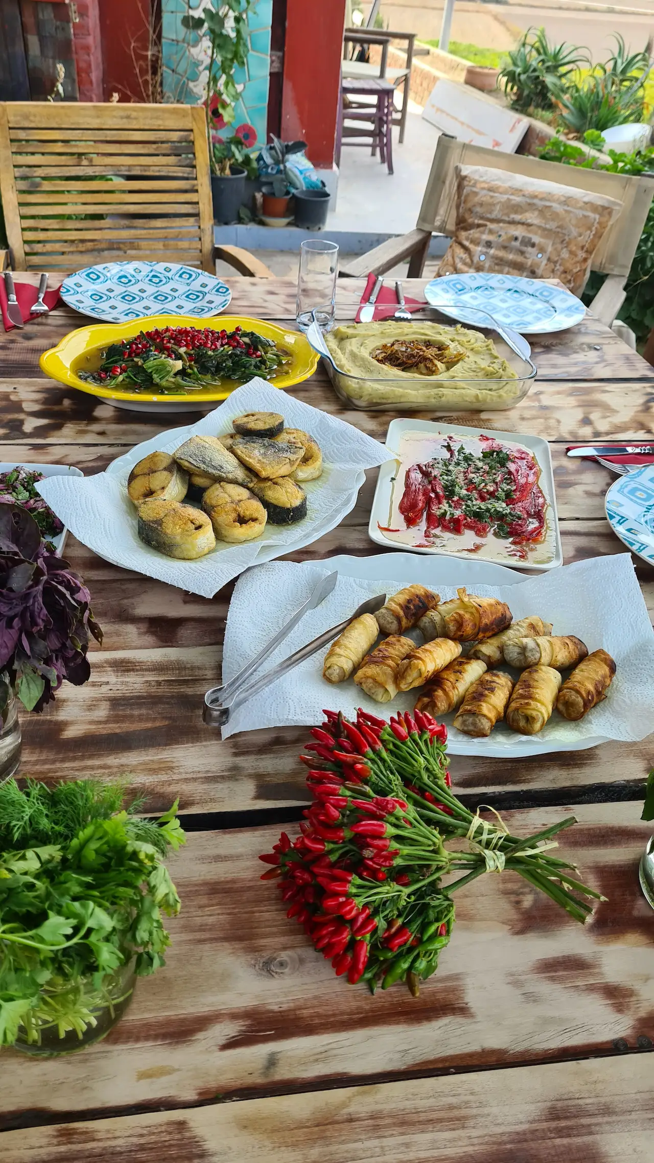 Healthy Aegean Turkish Cuisine
